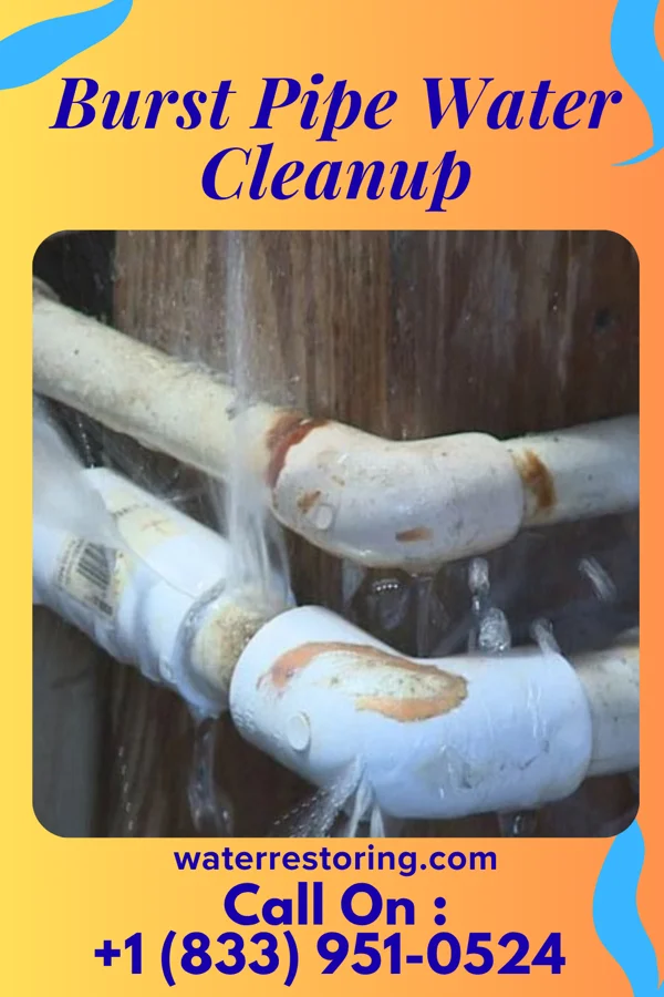 Burst Pipe Water Cleanup in Taylor Corners, CT