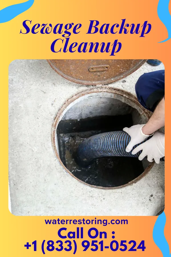 Sewage Backup Cleanup in Taylor Corners, CT
